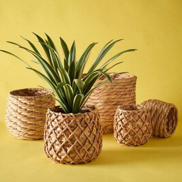 Koi Basket Planter