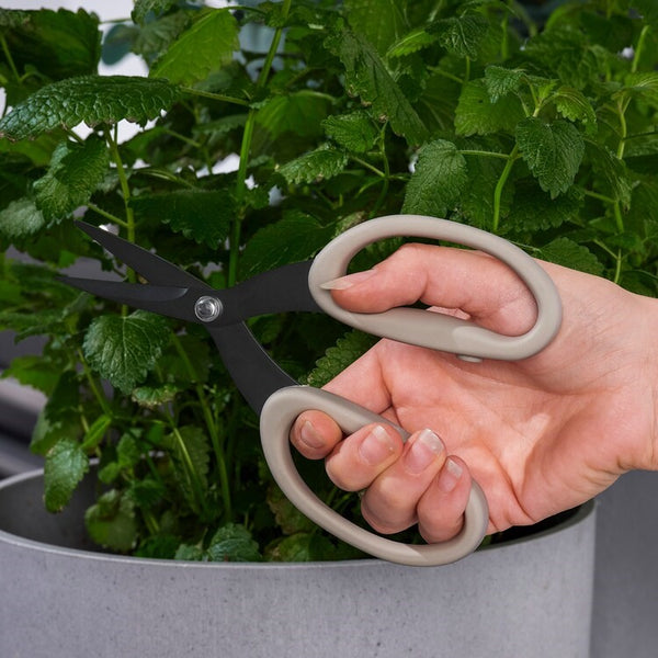 Garden Herb Scissors