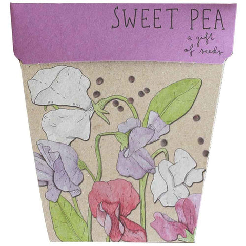 Sweet Pea Gift of Seeds Card | Sow N Sow