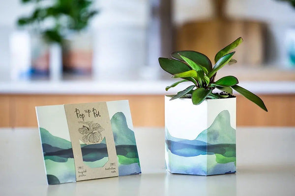 Mountain Pop Up Pot | Sow n Sow