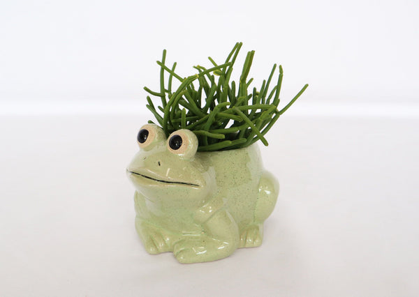 Frog Pot