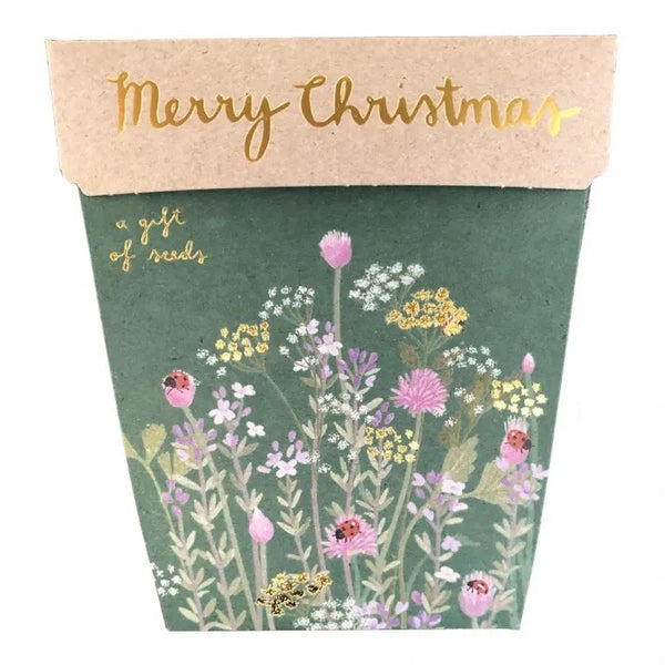 Herbs Gift of Seeds Christmas Card